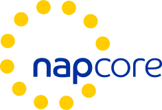 Workshop NAPCORE o RTTI